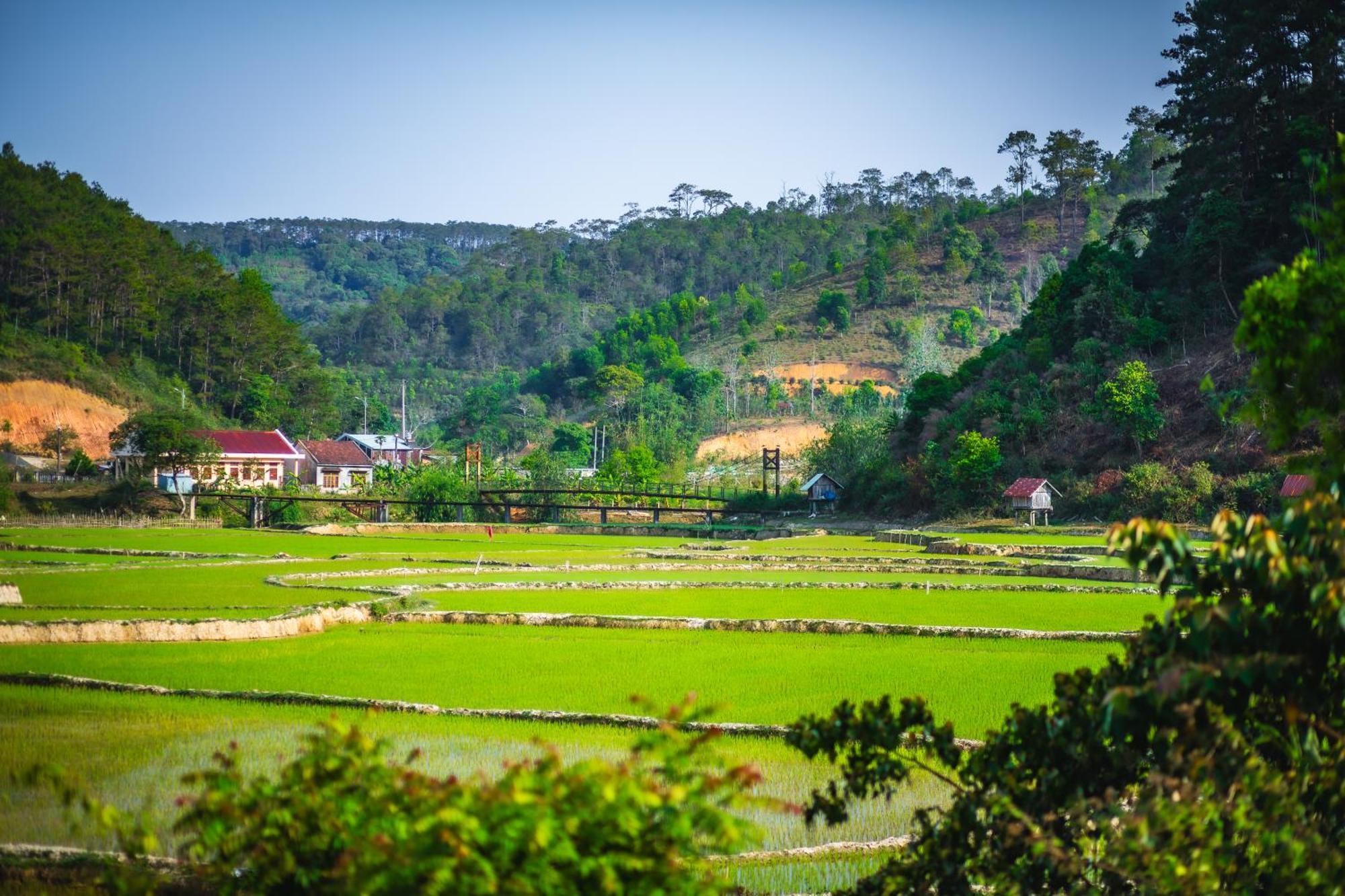 Nha Trong Ban - Homestay Mang Den Kon Von Kla Zewnętrze zdjęcie